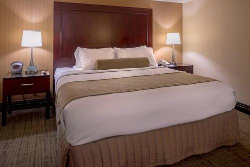 Crowne Plaza Hotel St. Louis Airport, an IHG Hotel