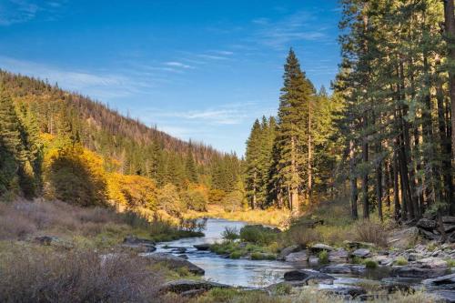 Escape to the Cabin, in Plumas National Forest