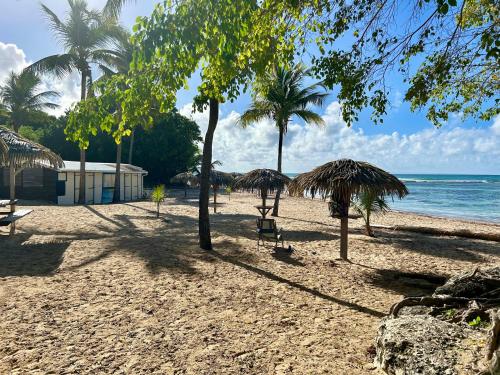 Le Ticolibri Anse des Rochers villa hibiscus