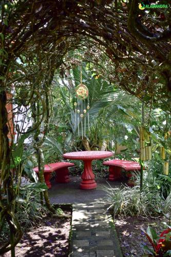 Salamandra Costa Rica in Suburbs