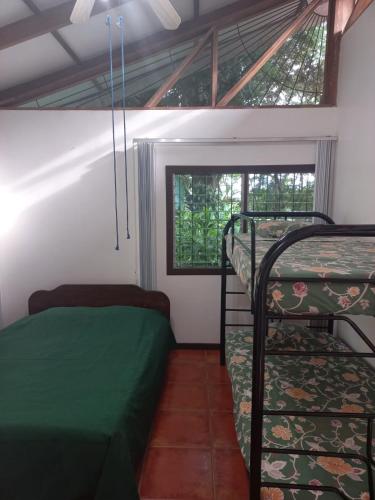 Iguana Libre Iguana Libre