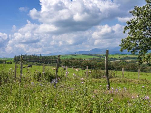 Dol Y Mynydd the Mountain Meadow-qu7521