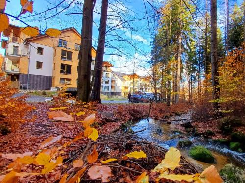 Apartamenty nad Złotym Potokiem