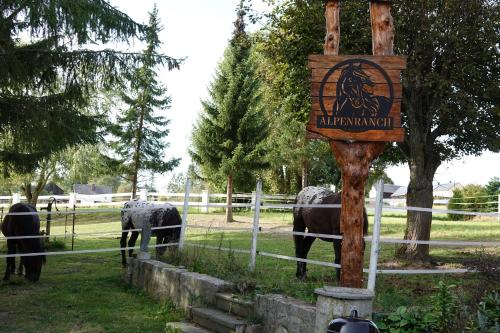 Alpenranch in Markneukirchen