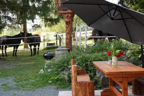 Alpenranch in Markneukirchen