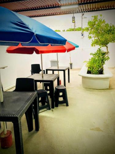 Oasis de Tolu in Tolu