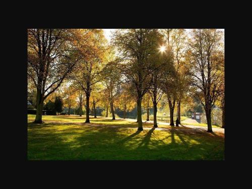 The Old Bell - image 7