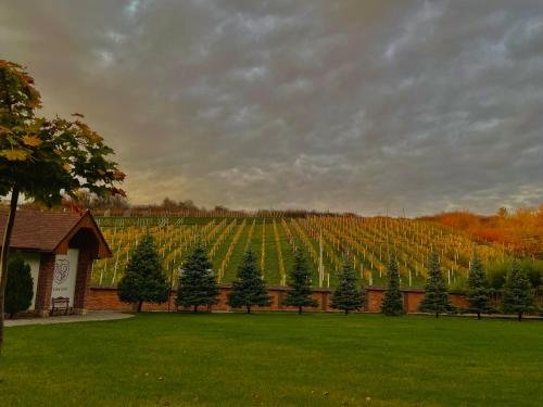 WineGarden, Mukačevo (fotografie 2)