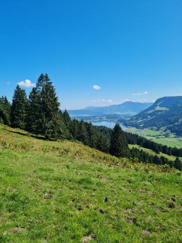 Ferienwohnung Sonnenblume mit Hallenbad und Sauna