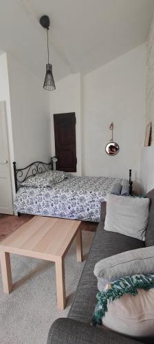 Studio avec jardin à 10 mn à pied du centre ville, Toulouse (photo 8)