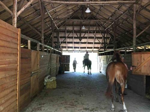 Haras en Capilla del Señor, 30 hts de descanso