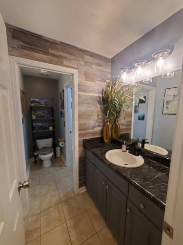 Modern 3 Bedroom Boro Home in Quiet Neighborhood in Murfreesboro, USA