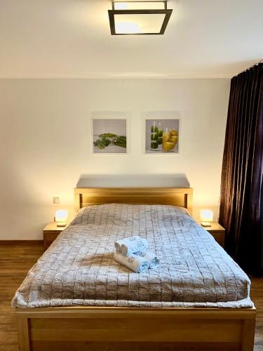 Karlov dvor apartmán