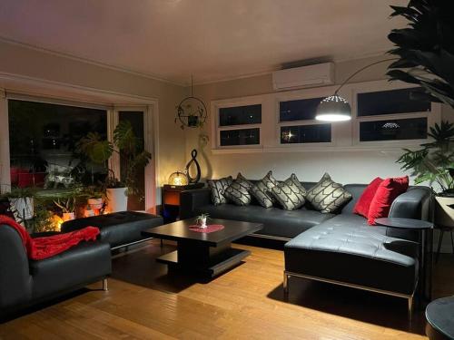 Green Sweet Home in the heart of Little Saigon in Westminster, USA