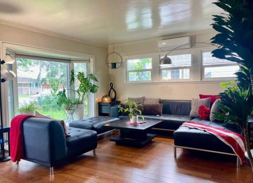 Green Sweet Home in the heart of Little Saigon in Westminster, USA
