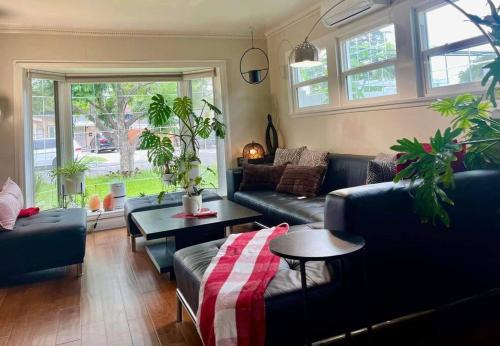 Green Sweet Home in the heart of Little Saigon in Westminster, USA