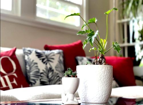 Green Sweet Home in the heart of Little Saigon in Westminster, USA
