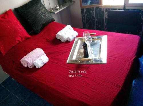 Patrick&Pierre Bed and Breakfast Nîmes chambre d'hôte Nîmes