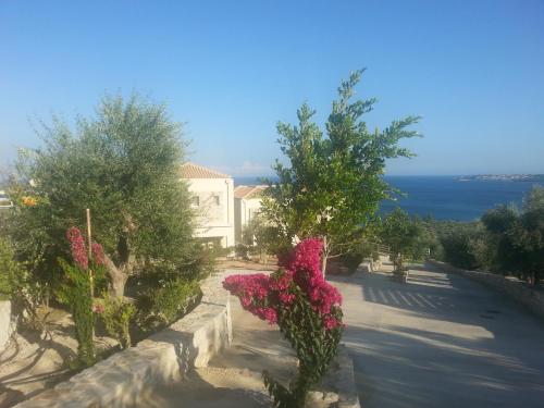 Camvillia Resort Messinia