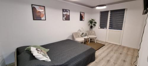 Radu's Room - Apartment - Curtea de Argeş