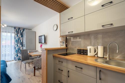 Apartament 38 i 37 Okrzei 1c, Szklarska Poręba (photo 3)