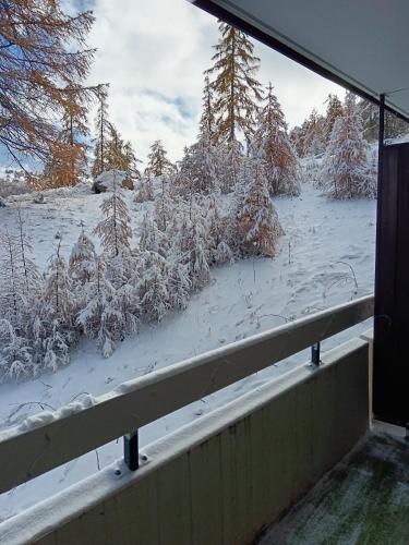 STUDIO le FOREST SKIS AUX PIEDS Vars