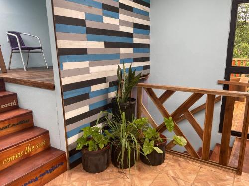 花園, Granja Integral Luz Del Corazon in 林孔德拉別哈