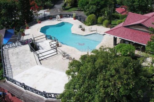 泳池, Mid-Century: Caribbean Style in 西夏洛特阿馬利亞