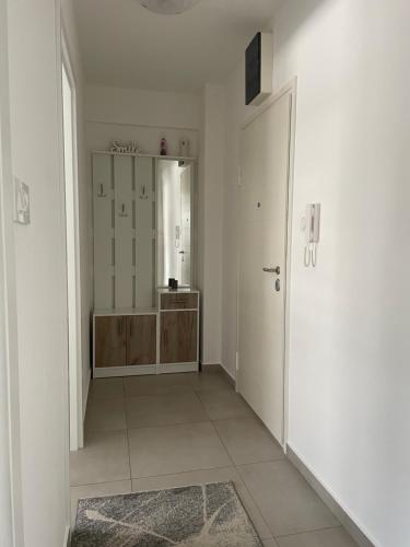 One-Bedroom Apartment image 10