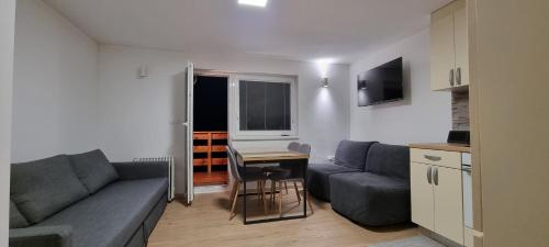 Kope, Jagoda 8 - Studio 2, Slovenj Gradec (photo 7)