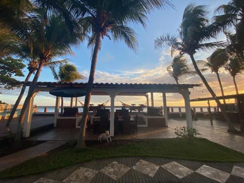 SOLID Surf Camp Hostel Nicaragua in El Transito