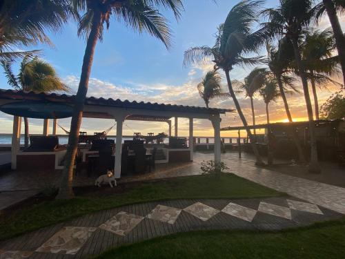 SOLID Surf Camp Hostel Nicaragua in El Transito