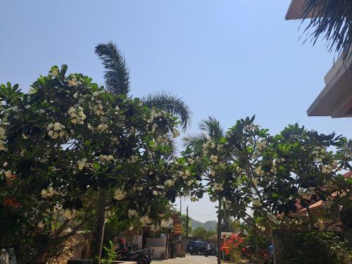 Kutabay Homestay – Kuta, Lombok, ID