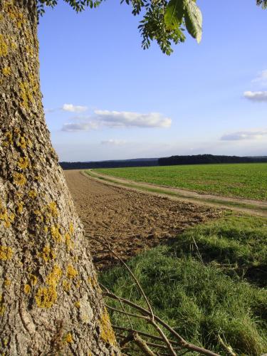 La Grange de Boulaines – Méru, IL