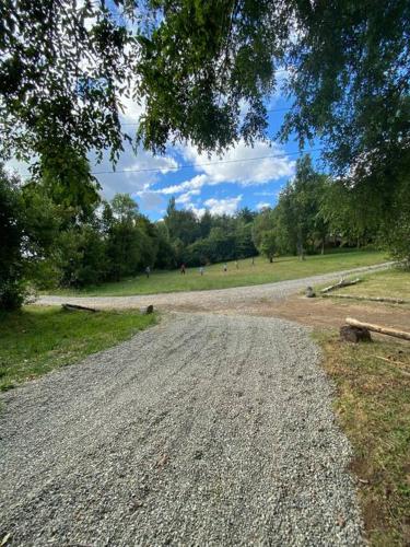 Hermosa Cabaña en Panguipulli