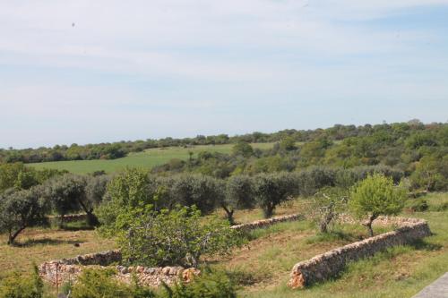 B&B Masseria Cappotto