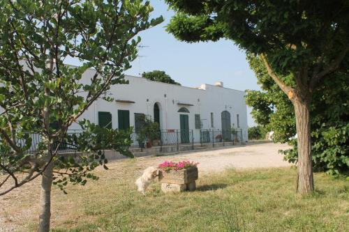 B&B Masseria Cappotto