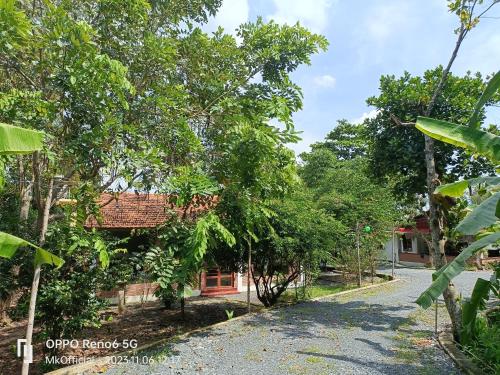 Homestay Me Khang 2,ngay Đia Đao Cu Chi Ben Đinh in Cu Chi District