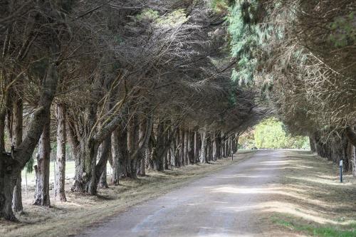 Iona Park, Moss Vale