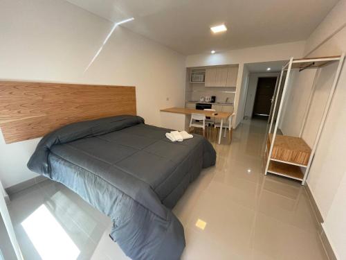 Urban Luxury Studio Living in San Telmo num5044