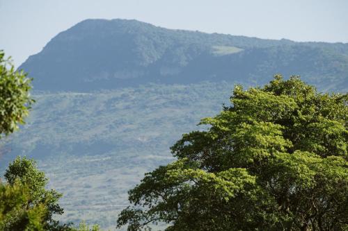 Matatane Camp - Babanango Game Reserve