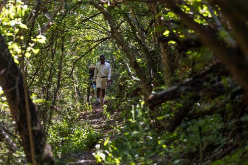 Matatane Camp - Babanango Game Reserve