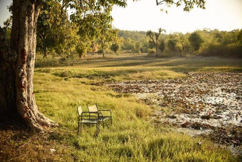 Bandhavgarh Meadows Resort