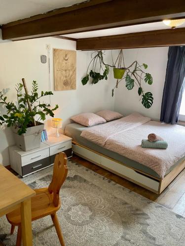 Cozy Room in an old Farmhouse near Vaduz - Accommodation - Sevelen