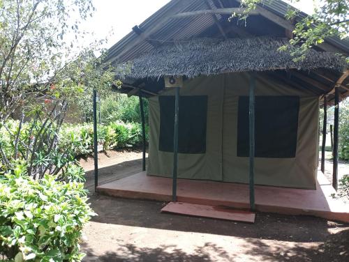 Eco mara forest camp