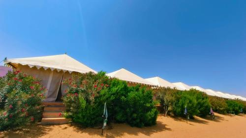 Rumis Desert Camp and Resort