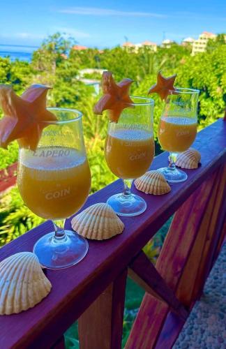Balcony/terrace, Mabrika Resort Dominica in Portsmouth