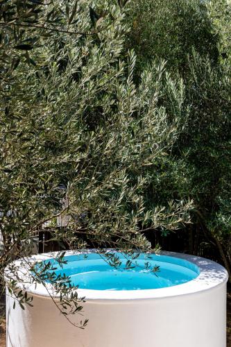 泳池, Orchard Cottage in 里比克堡