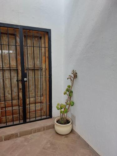 Encantadora casa rústica en zona de bodegas