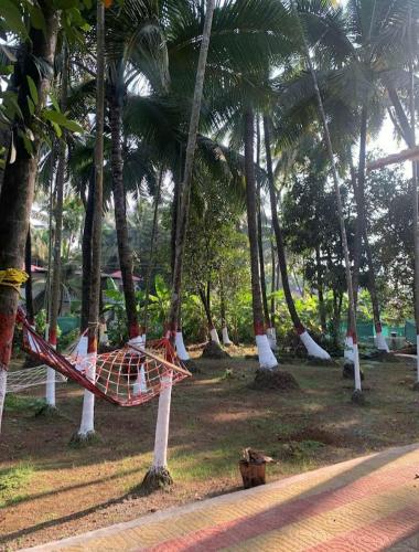 Savita Farmhouse photo 3